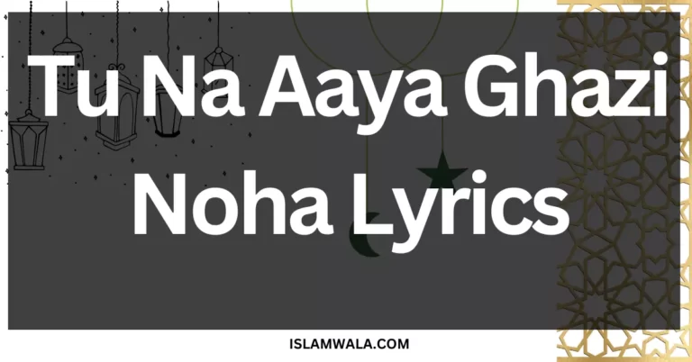 Tu na aaya ghazi noha lyrics,Jab Rida Sar Se Chini Lyrics