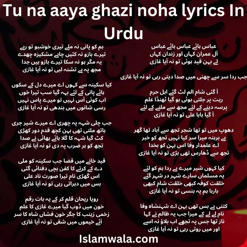 Tu na aaya ghazi noha lyrics in Urdu, Jab Rida Sar Se Chini Lyrics In Urdu