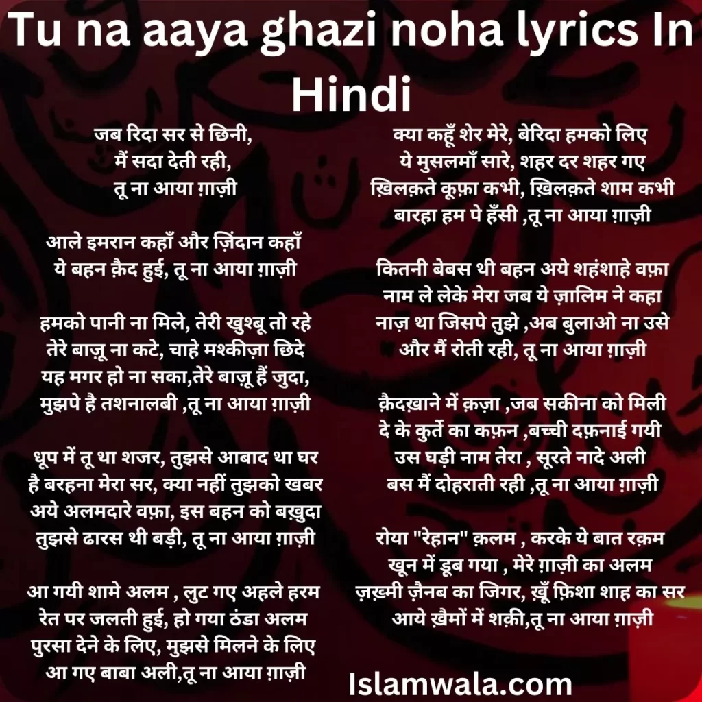 Tu na aaya ghazi noha lyrics in Hindi