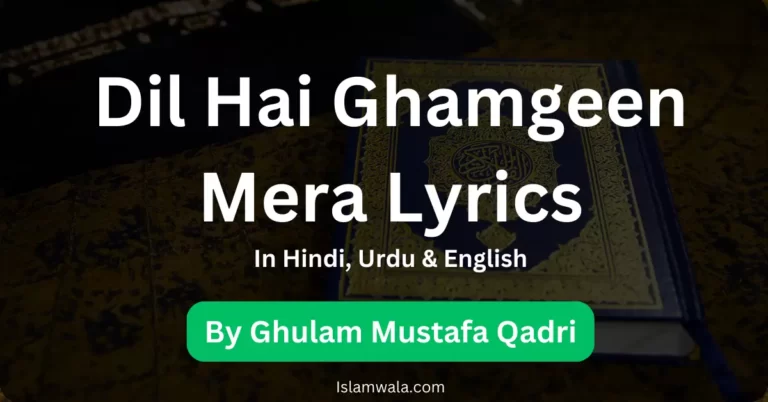 Dil Hai Ghamgeen Mera Lyrics