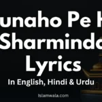 Gunaho Pe Hu Sharminda Lyrics